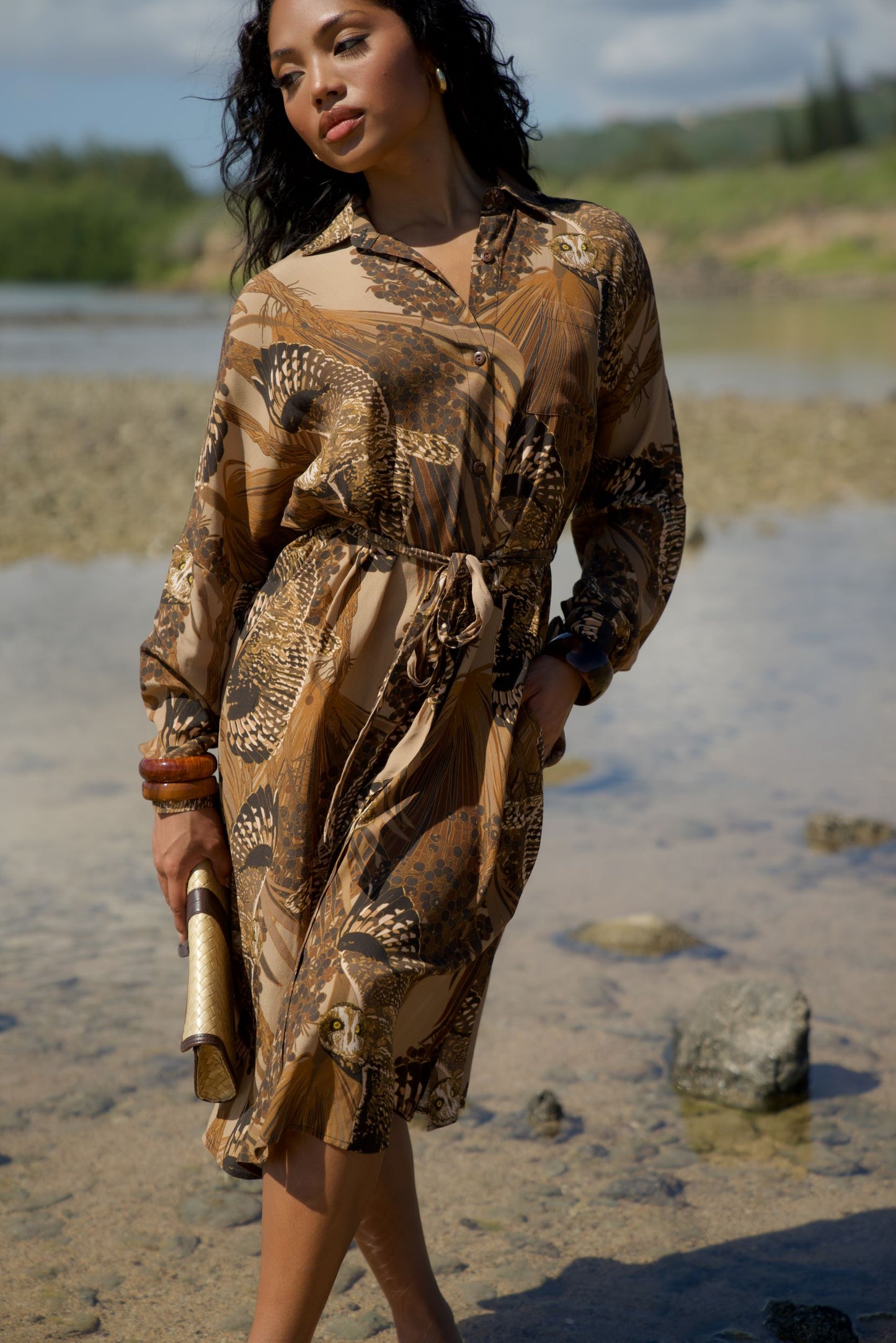 Pueo at Dusk & Loulu Button Down Dress