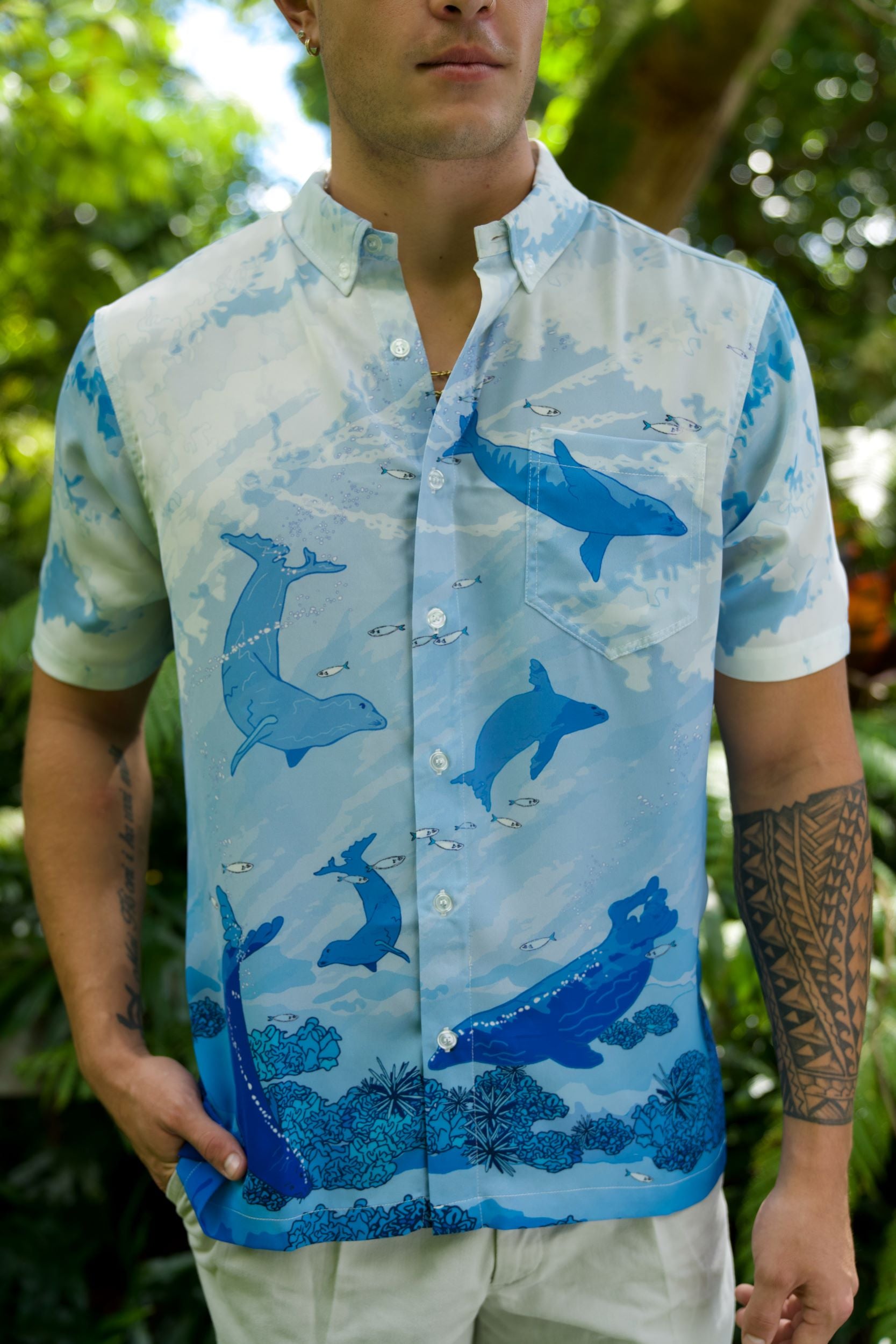 Hawaiian Monk Seal Aloha Shirt (Iron Free) – David Shepard Hawaiʻi