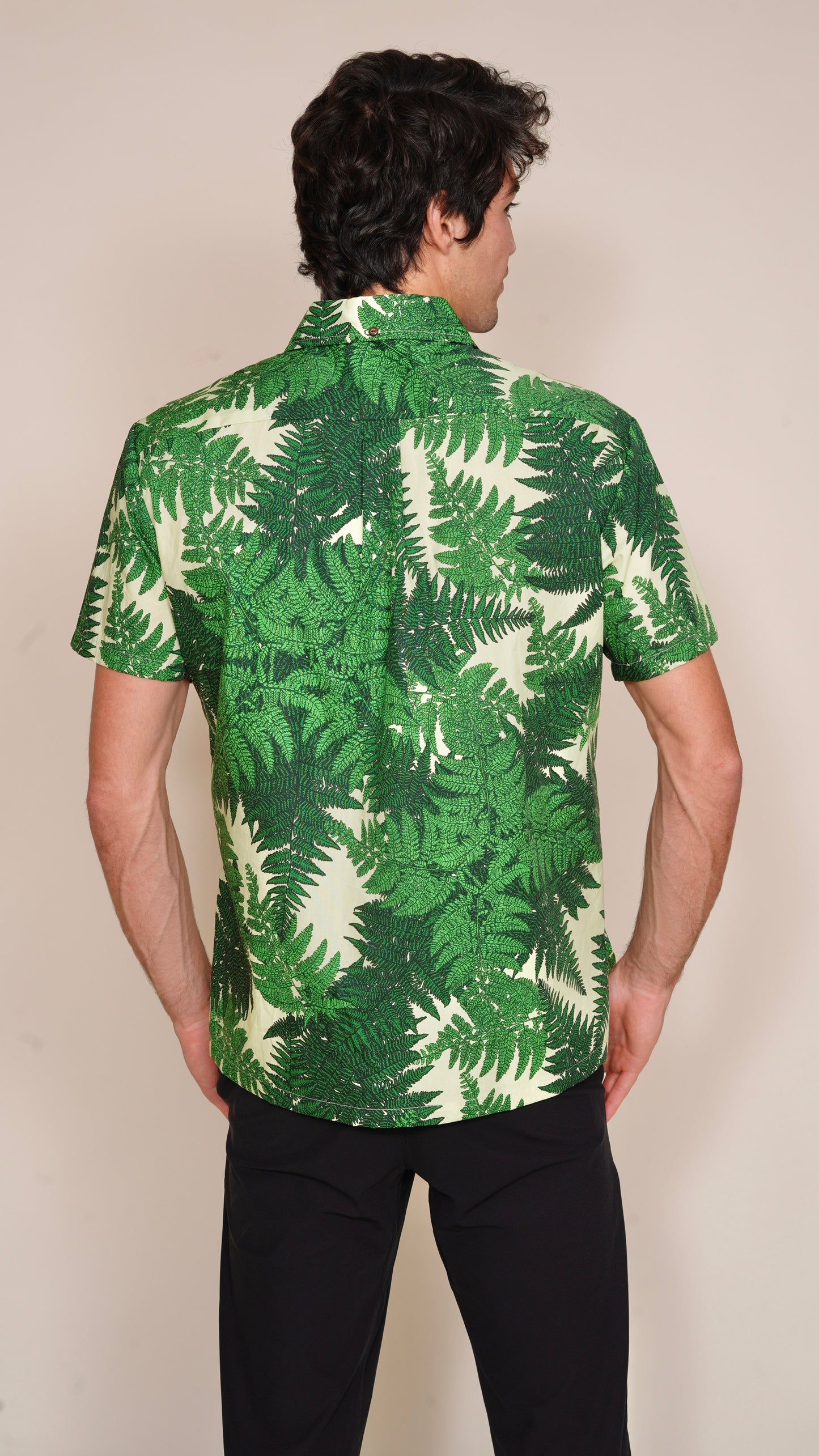 Palapalai Fern Green Aloha Shirt