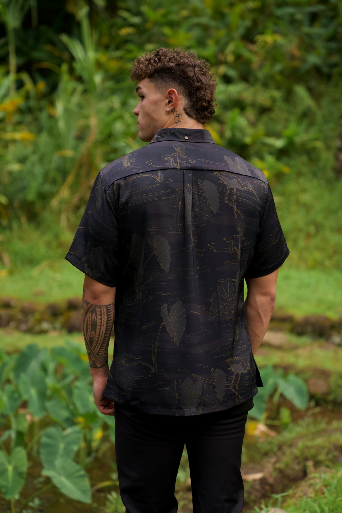 Kalo Wai Aloha Shirt (Iron Free)