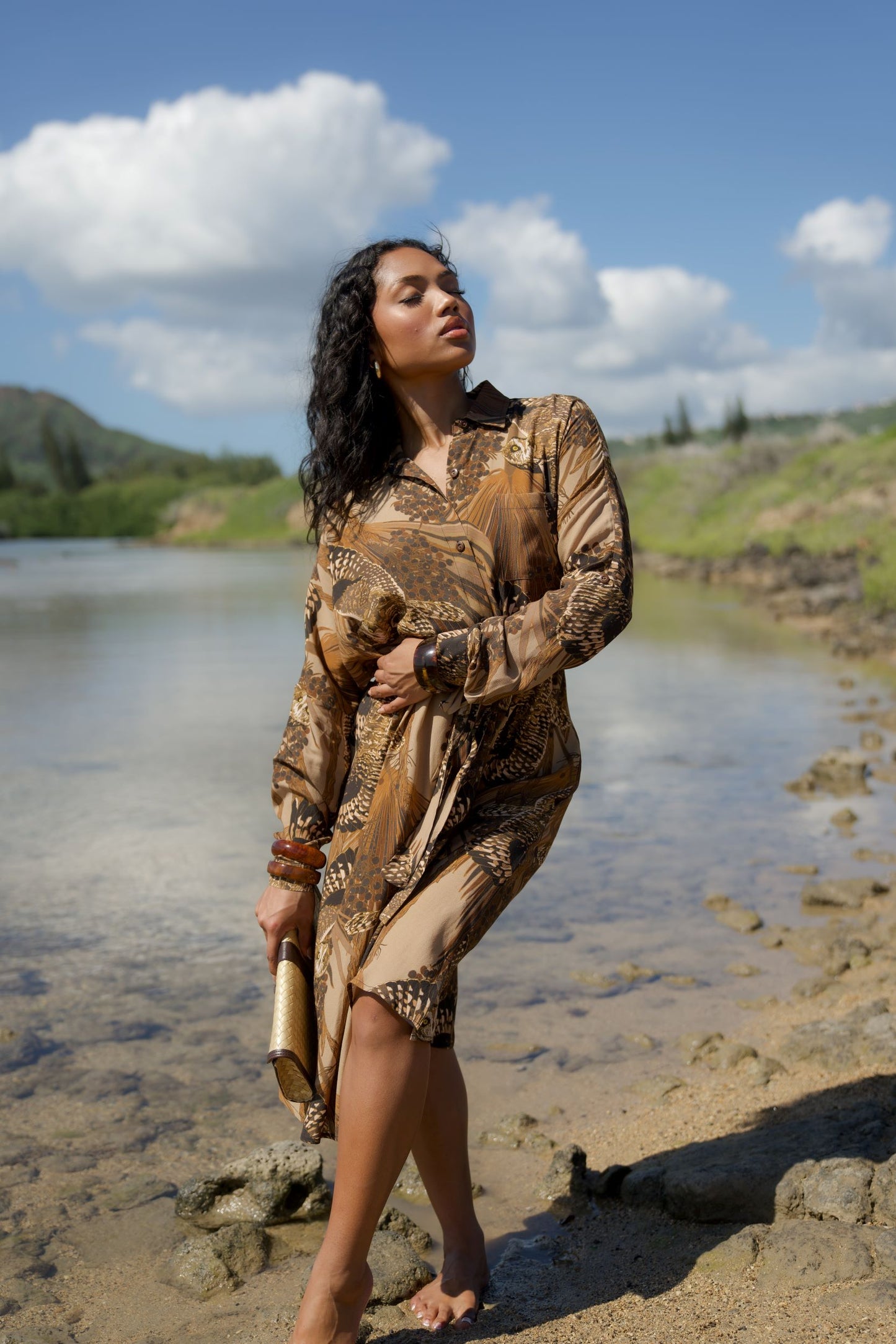 Pueo at Dusk & Loulu Button Down Dress