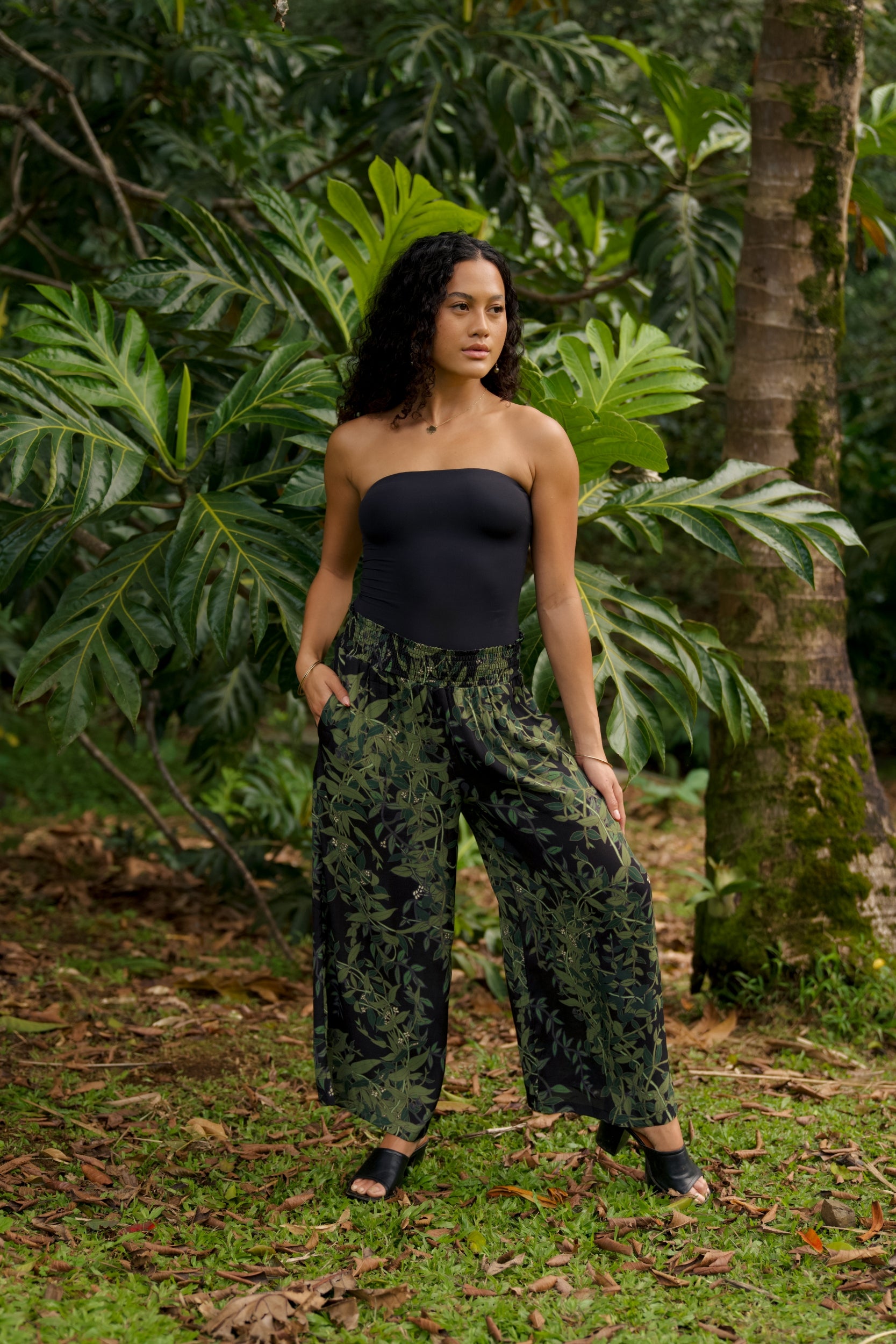 【新品】完売 Ma deshabille DAVID シャツ New Releases – David Shepard Hawaiʻi
