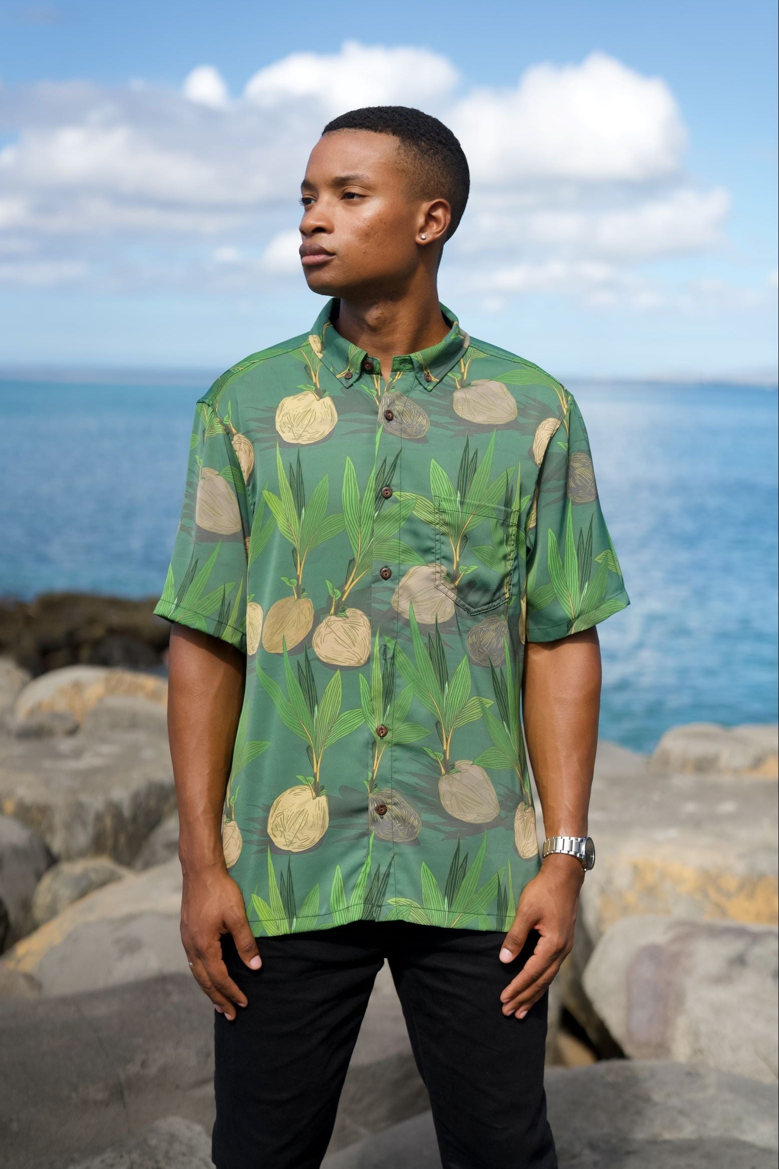 All – David Shepard Hawaiʻi