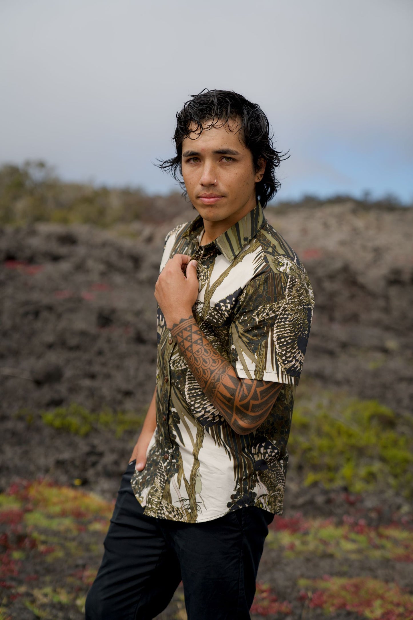 Pueo at Dusk & Loulu Tailored Aloha Shirt