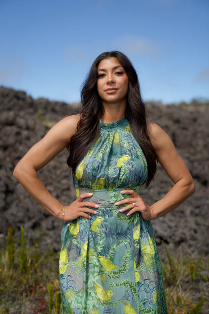 Foraging Kiwikiu Empire Dress
