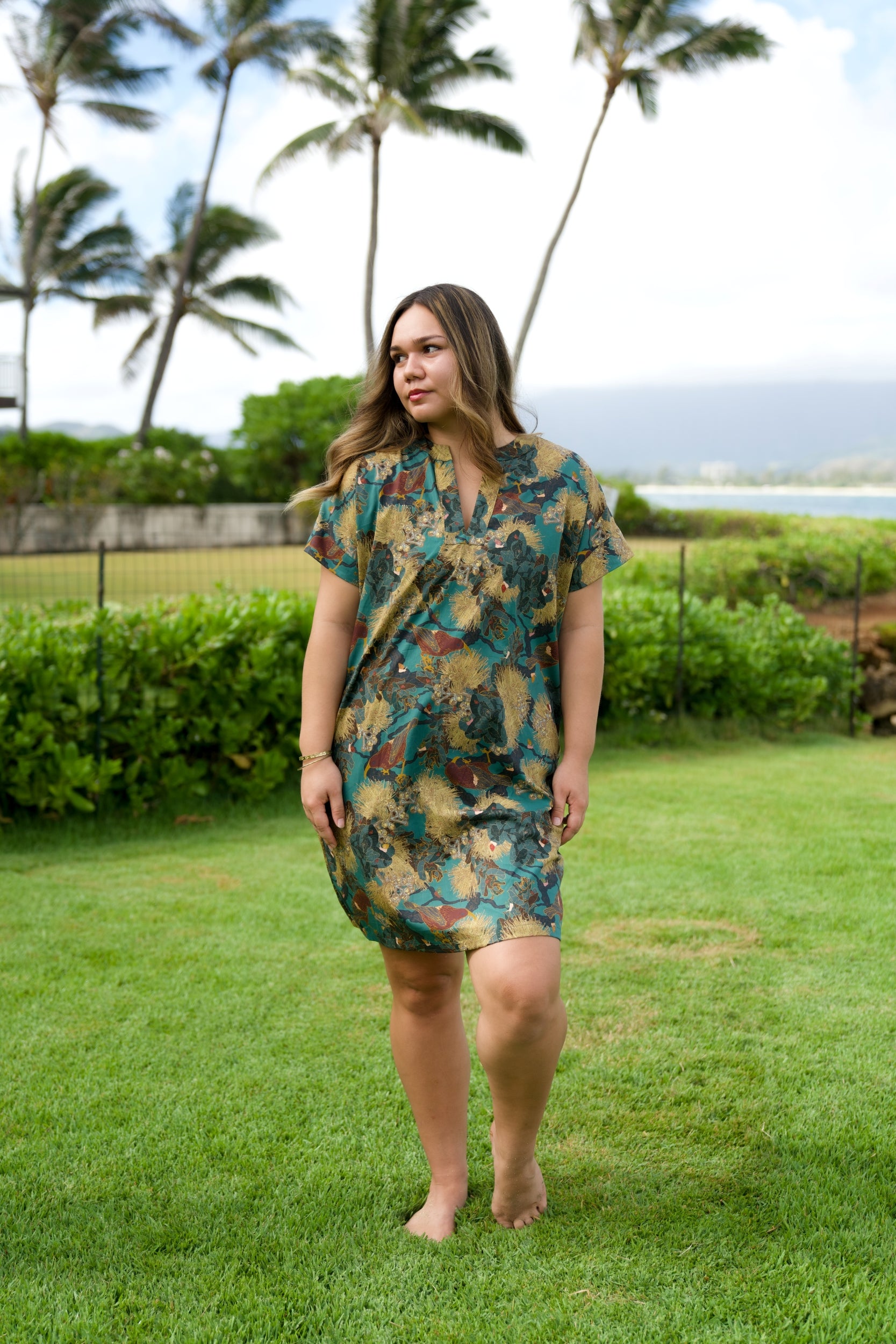 All – David Shepard Hawaiʻi